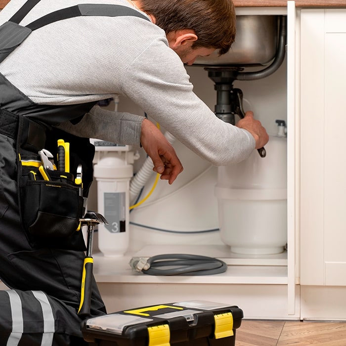 servicios profesionales